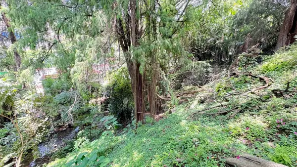 Terreno en venta en Rancho Cortes, Cuernavaca — foto 3 de 6