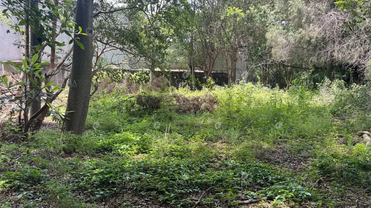 Terreno en venta en Rancho Cortes, Cuernavaca — foto 1 de 6