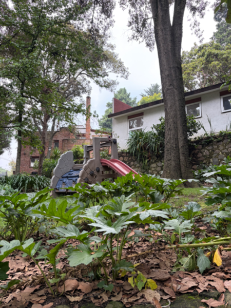 Casa en venta en San Mateo Tlaltenango, Cuajimalpa de Morelos — foto 3 de 19