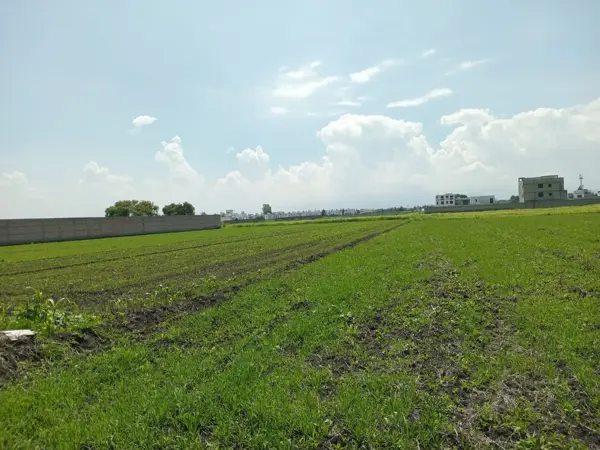 Terreno en venta en San Miguel Totocuitlapilco, Metepec — foto 2 de 3