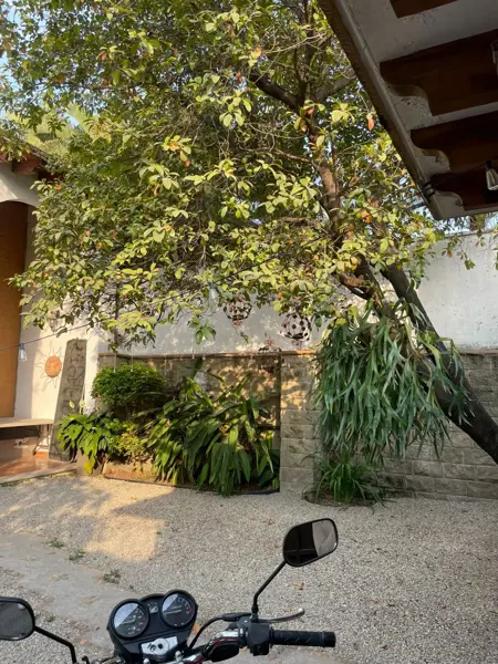 Casa en venta en Residencial La Palma, Jiutepec — foto 3 de 35