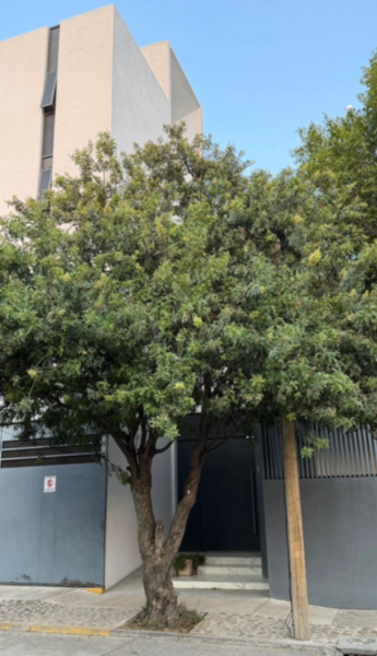 Departamento en renta en Leon Moderno, León — foto 2 de 34