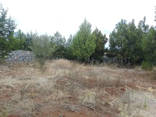 Terreno en venta en Bermúdez, Huasca de Ocampo — foto 3 de 6
