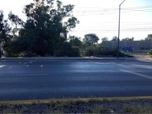 Terreno en renta en La Constancia, Soledad de Graciano Sánchez — foto 2 de 6