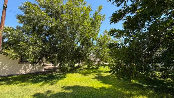 Finca-Rancho en venta en La Concha, Torreón — foto 3 de 14