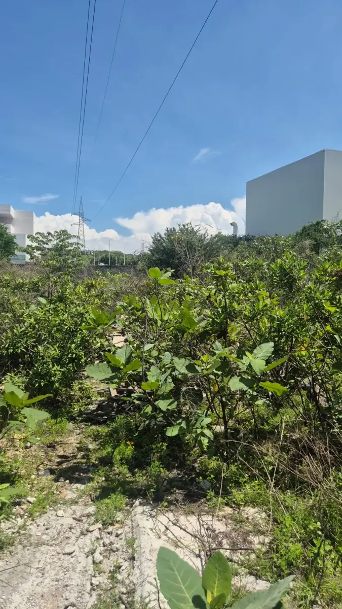 Terreno en venta en Benito Juarez, Emiliano Zapata — foto 1 de 10