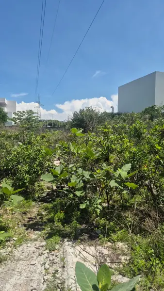 Terreno en venta en Benito Juarez, Emiliano Zapata, Morelos