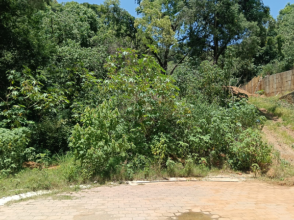 Terreno en venta en Rancho San Diego, Ixtapan de la Sal — foto 3 de 29