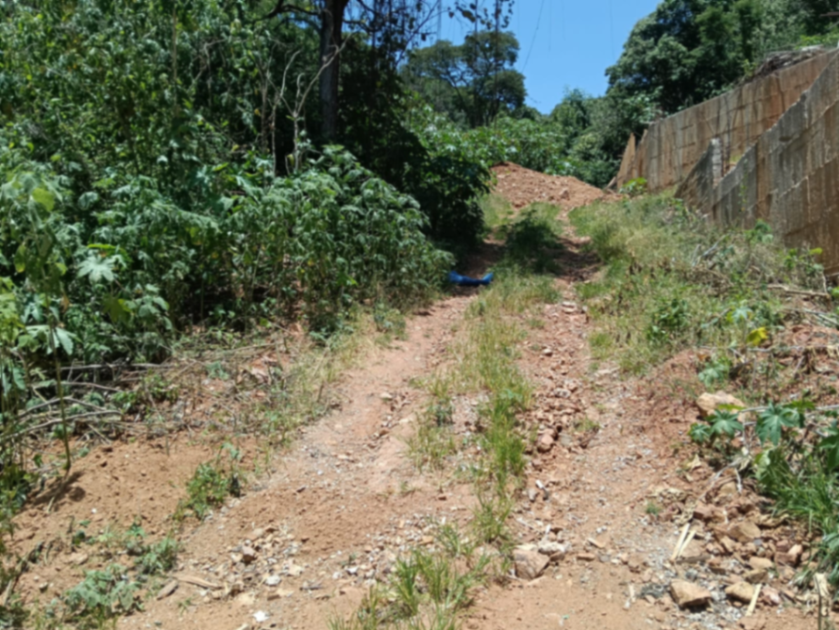 Terreno en venta en Rancho San Diego, Ixtapan de la Sal — foto 1 de 29