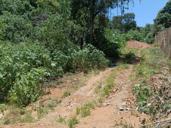 Terreno en venta en Rancho San Diego, Ixtapan de la Sal — foto 2 de 29