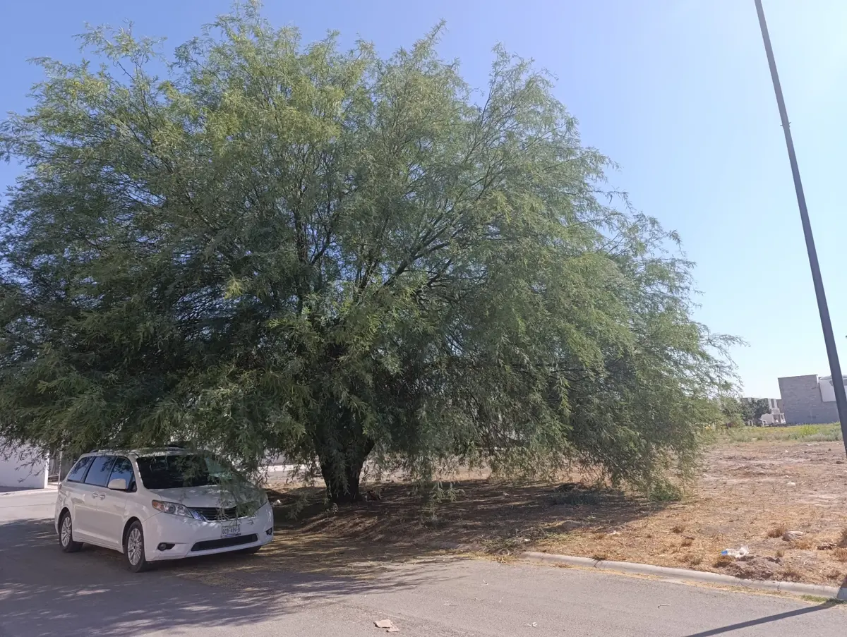 Vista 4 de Terreno en Venta en Villas del Renacimiento, Torreón, Coahuila de Zaragoza