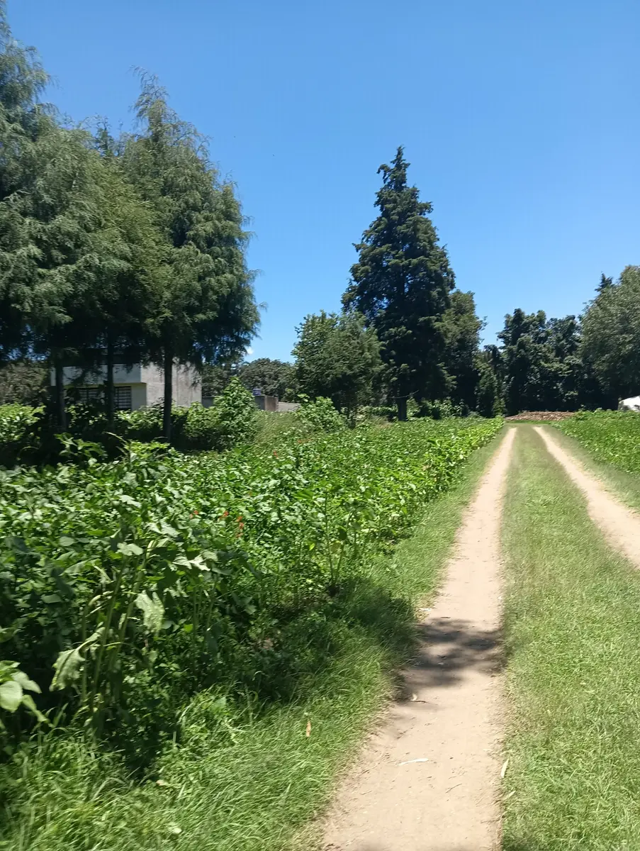 Terreno en venta en San Bartolome Tenango, Tetlatlahuca — foto 1 de 13