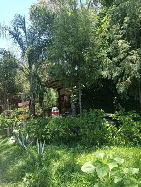 Terreno en venta en San Bartolome Tenango, Tetlatlahuca — foto 2 de 13