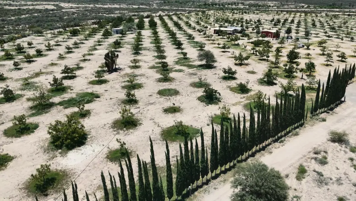 Finca-Rancho en venta en Cerro Colorado, Parras — foto 1 de 14