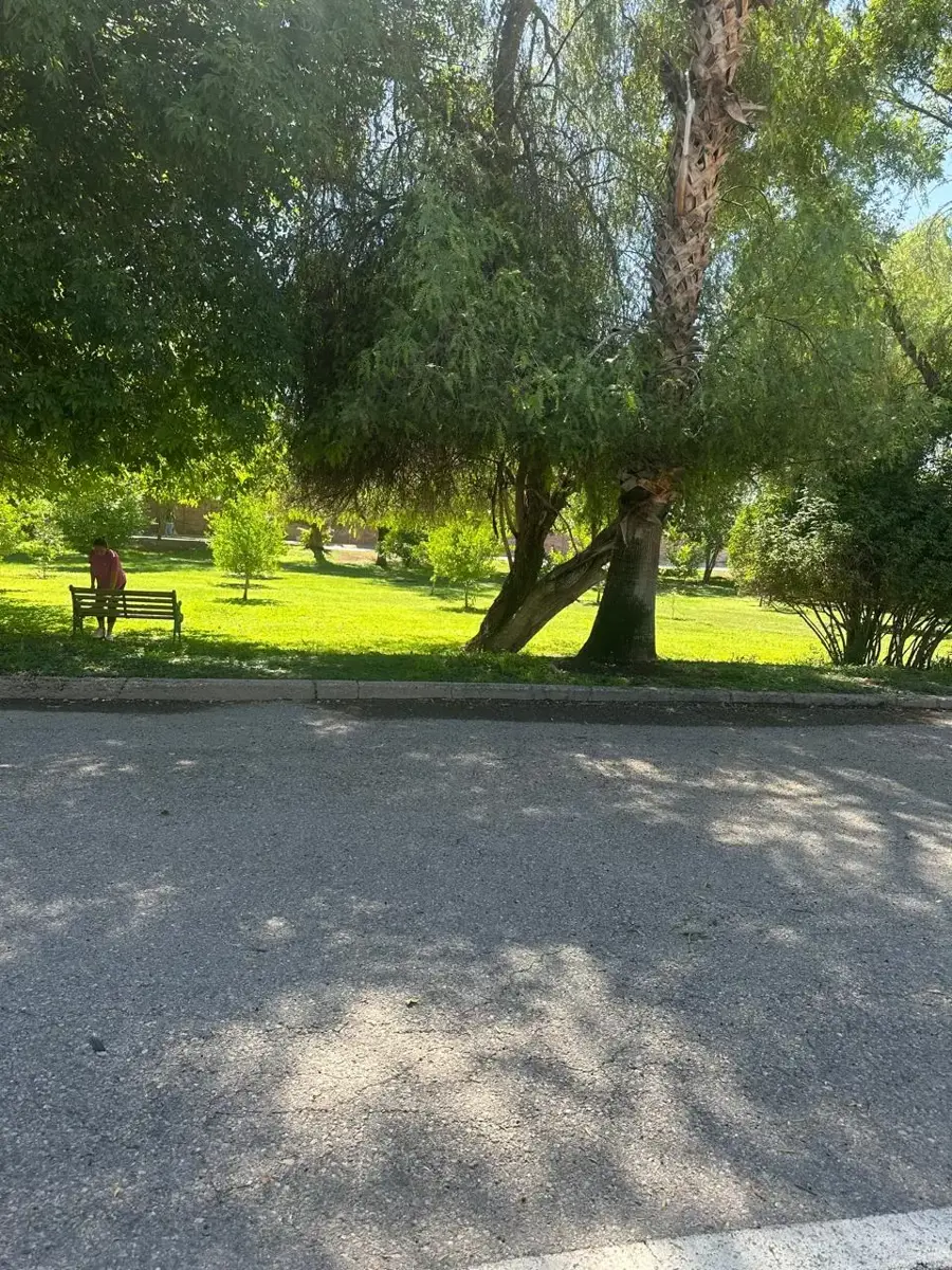 Vista 3 de Casa en Venta en Rincón San Ángel, Torreón, Coahuila de Zaragoza