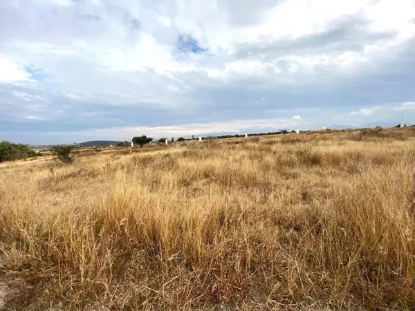 Terreno en venta en Ejido Apaseo el Alto, Apaseo El Alto — foto 3 de 5