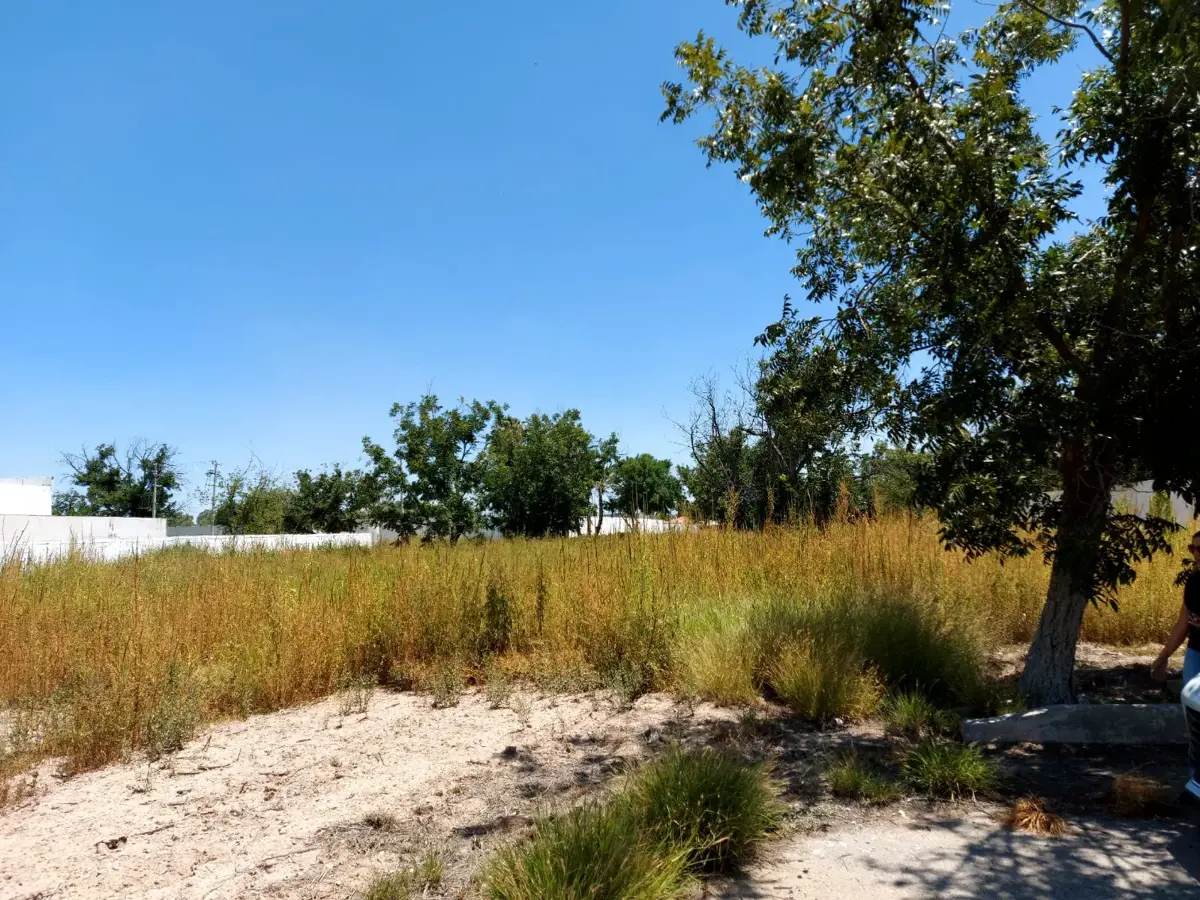Terreno en venta en San Armando, Torreón — foto 1 de 4