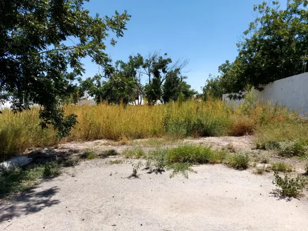 Terreno en venta en San Armando, Torreón — foto 2 de 4