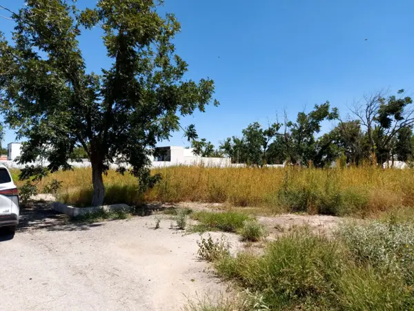 Terreno en venta en San Armando, Torreón — foto 3 de 4