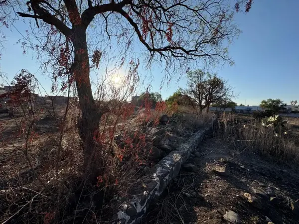 Terreno en venta en La Campana, Huichapan — foto 3 de 10