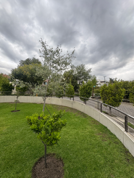 Casa en renta en Prado Largo, Atizapán de Zaragoza — foto 2 de 28