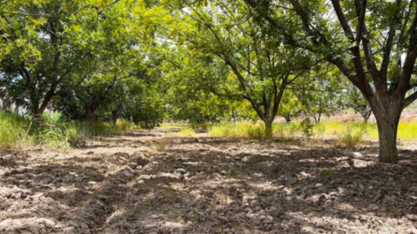 Terreno en venta en Urquizo, San Pedro — foto 2 de 11