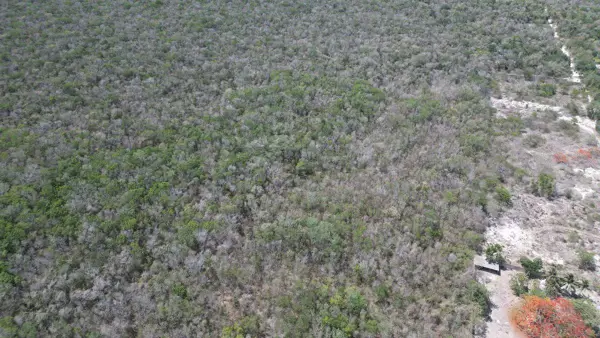 Terreno en venta en Akumal, Tulum — foto 3 de 10