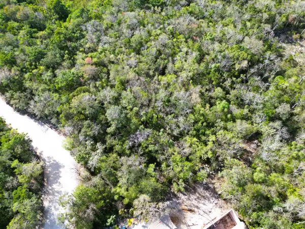 Terreno en venta en Akumal, Tulum — foto 2 de 11