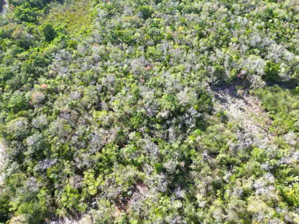 Terreno en venta en Akumal, Tulum — foto 3 de 11