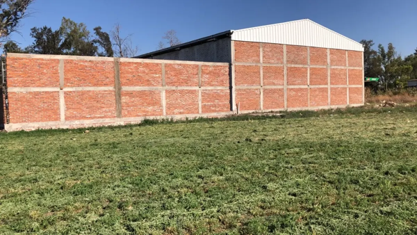 Bodega en renta en Central de Abastos, Irapuato — foto 3 de 4