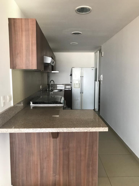 Departamento en renta en San Mateo Tlaltenango, Cuajimalpa de Morelos — foto 3 de 26