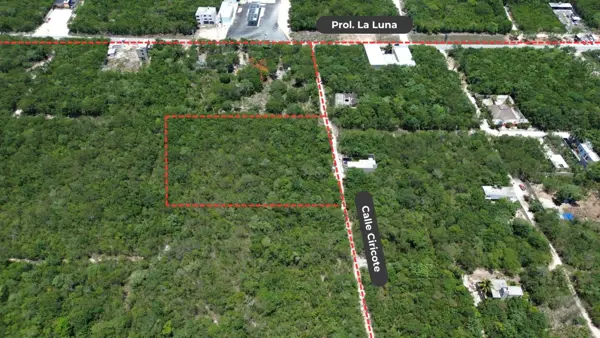Terreno en venta en Álamos I, Benito Juárez — foto 2 de 11