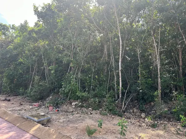 Bodega en venta en Palo Alto (Micro Parque), El Marqués — foto 3 de 6