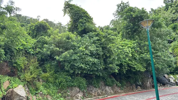 Terreno en venta en Brisas del Mar, Acapulco de Juárez — foto 3 de 5
