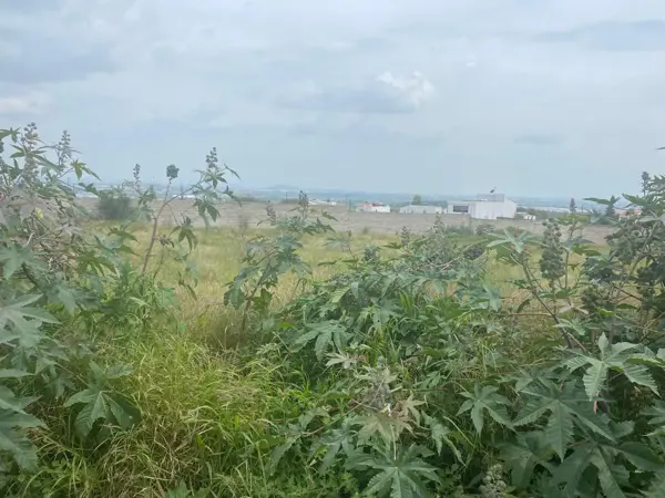 Terreno en venta en Ciudad Maderas, El Marqués — foto 3 de 9