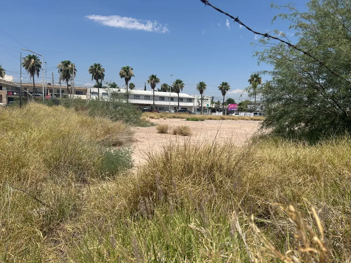 Terreno en Renta en Ampliación la Rosita, Torreón, Coahuila de Zaragoza Terreno en Renta en Ampliación la Rosita, Torreón, Coahuila de Zaragoza