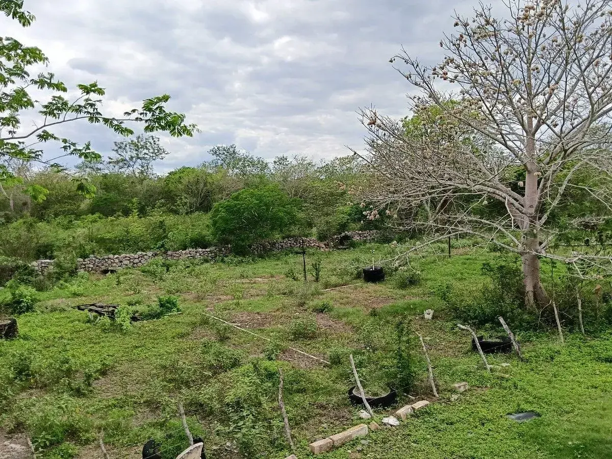 Terreno en venta en Valladolid Centro, Valladolid — foto 1 de 15