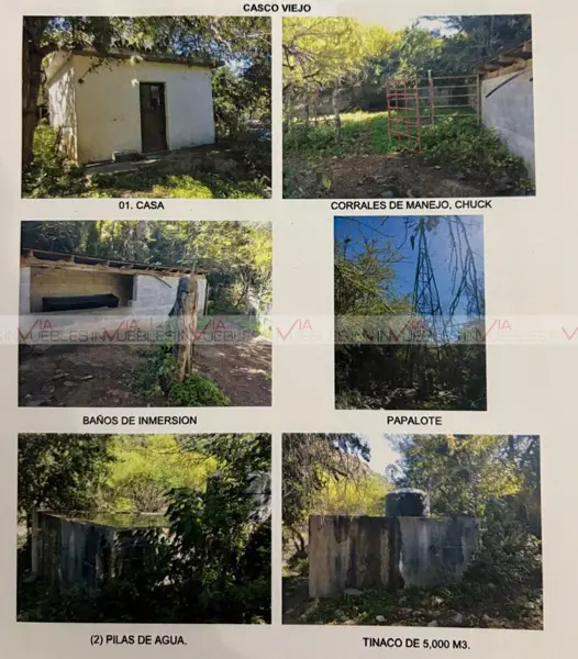 Casa en venta en Ciudad Sabinas Hidalgo Centro, Sabinas Hidalgo — foto 2 de 12