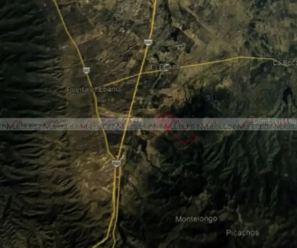 Sabinas Hidalgo