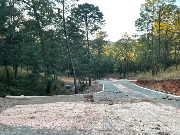 Terreno en venta en Mazamitla, Mazamitla — foto 2 de 15