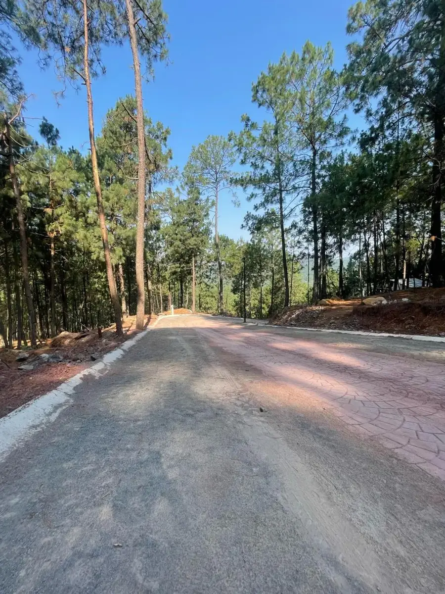 Terreno en venta en Mazamitla, Mazamitla — foto 1 de 15