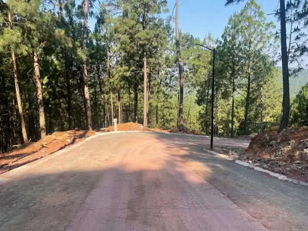 Terreno en venta en Mazamitla, Mazamitla — foto 3 de 15