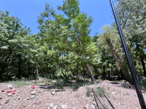 Terreno en venta en Flor de Piedra, Monterrey — foto 3 de 10