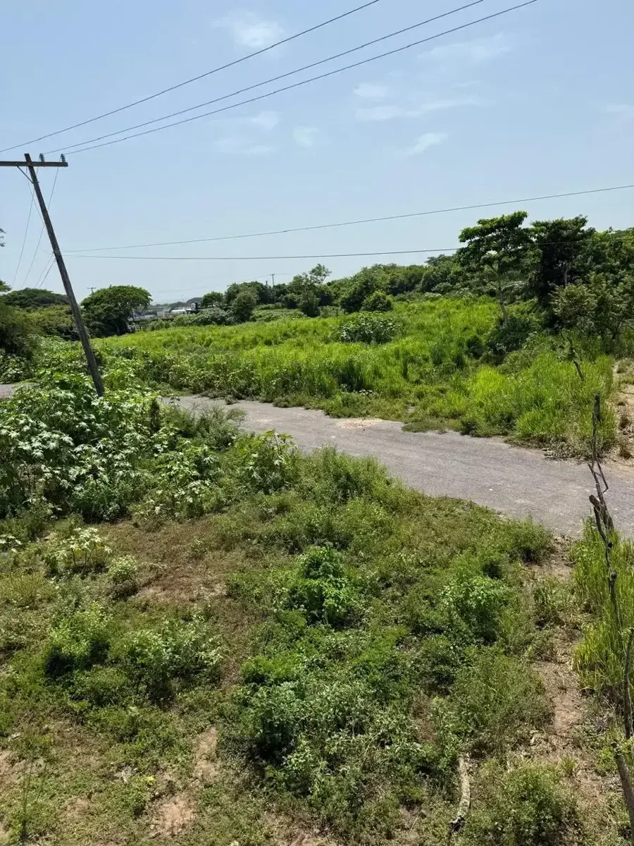 Terreno en venta en Villarin, Veracruz — foto 1 de 17
