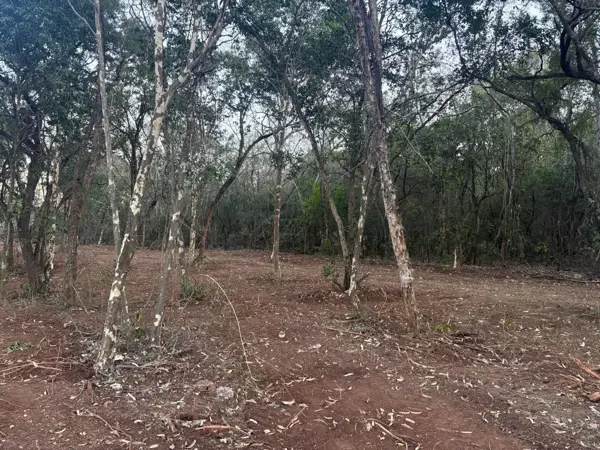 Terreno en Venta en La Boca, Santiago, Nuevo León 1