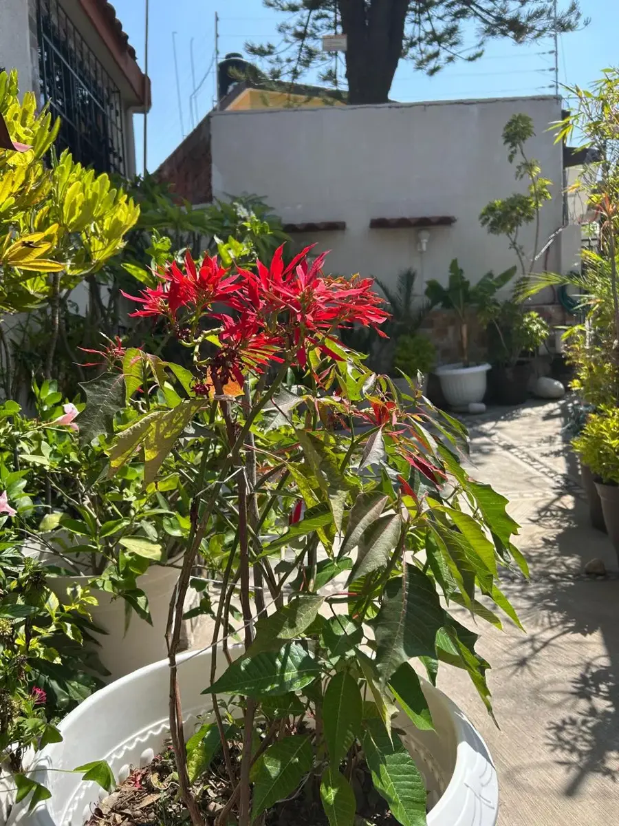 Casa en venta en Lomas Verdes 4a Sección, Naucalpan de Juárez — foto 1 de 12