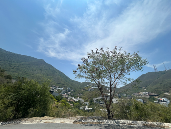 Terreno en venta en Renacimiento, Monterrey — foto 3 de 11