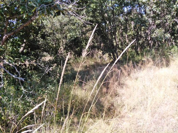 Terreno en venta en Campestre Haras, Amozoc — foto 3 de 16