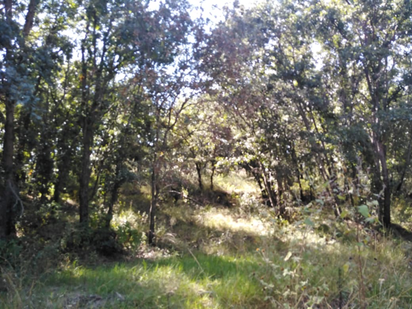 Terreno en Venta Puebla en Haras Campestre 1430 metros