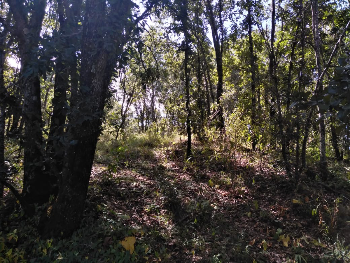 Terreno en venta en Campestre Haras, Amozoc — foto 1 de 16